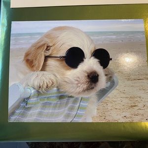 Meet your Posher, Beth